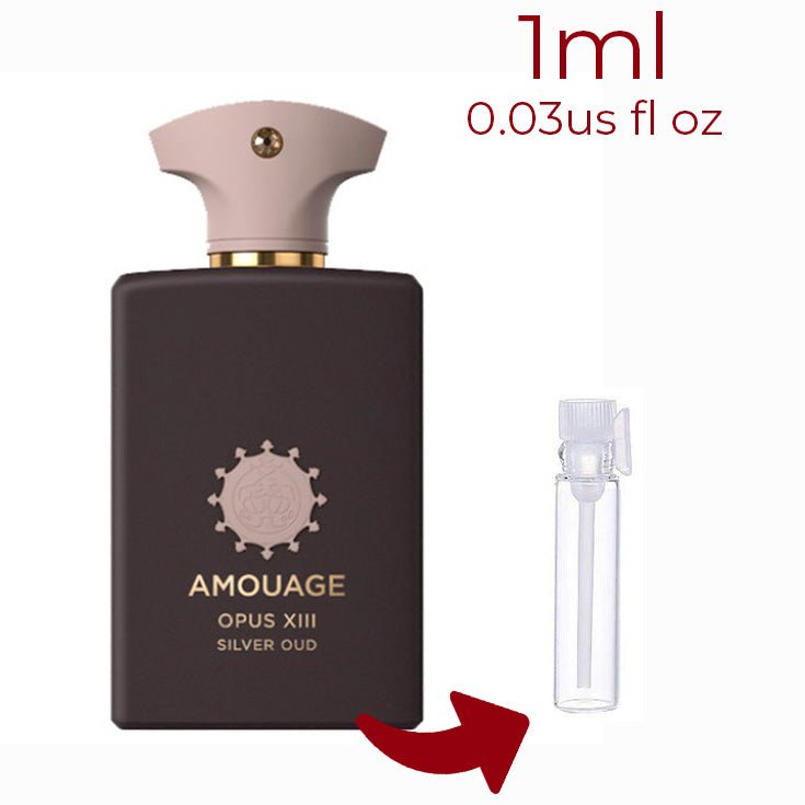 Opus XIII – Silver Oud Amouage for women and men Decant Samples - Vytrix